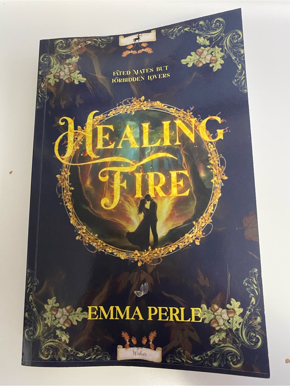 Healing Fire by Emma Perle Paperback